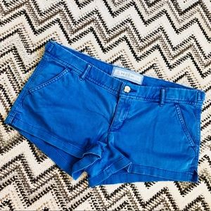 Beary Blue Hollister Shorts (new)